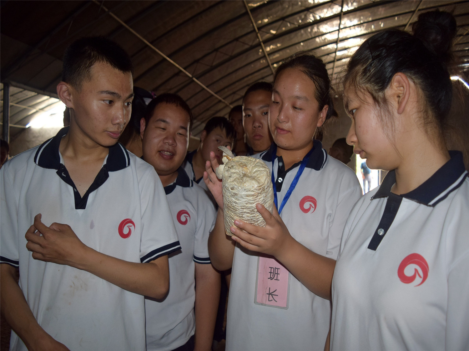 市特教中心“學生學農(nóng)基地”揭牌儀式在響水涯舉行