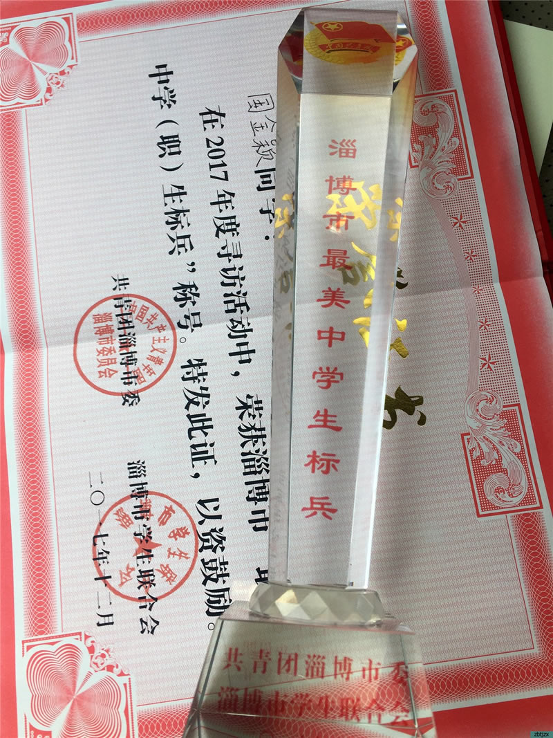 我校國金穎同學榮獲2017淄博市”最美中學生標兵”榮譽稱號